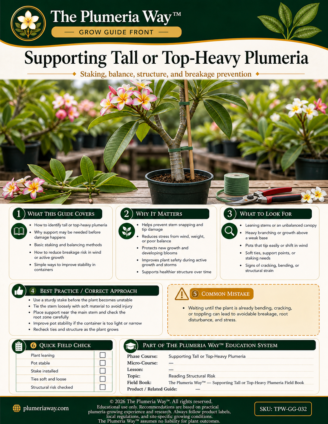 The Plumeria Way™ Grow Guide — Supporting Tall or Top-Heavy Plumeria - Image 2