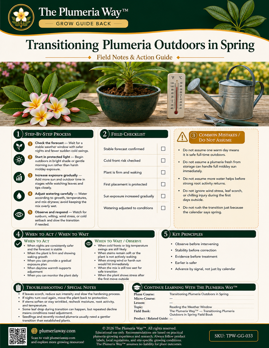 The Plumeria Way™ Grow Guide — Transitioning Plumeria Outdoors in Spring - Image 2