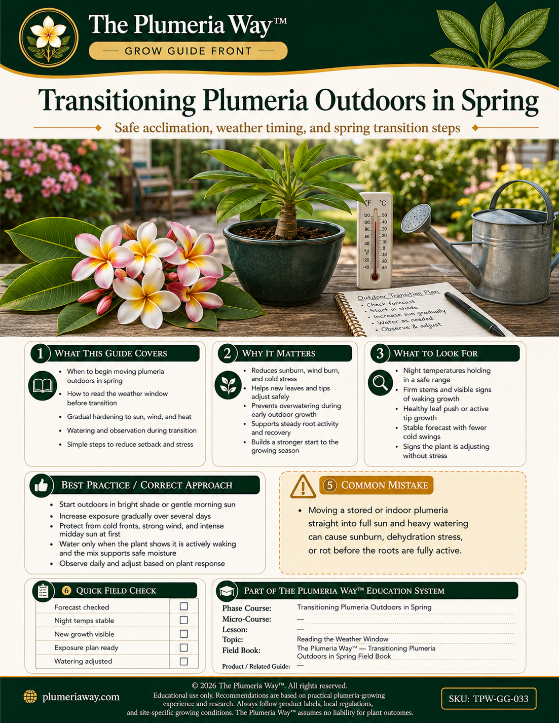 The Plumeria Way™ Grow Guide — Transitioning Plumeria Outdoors in Spring - Image 3