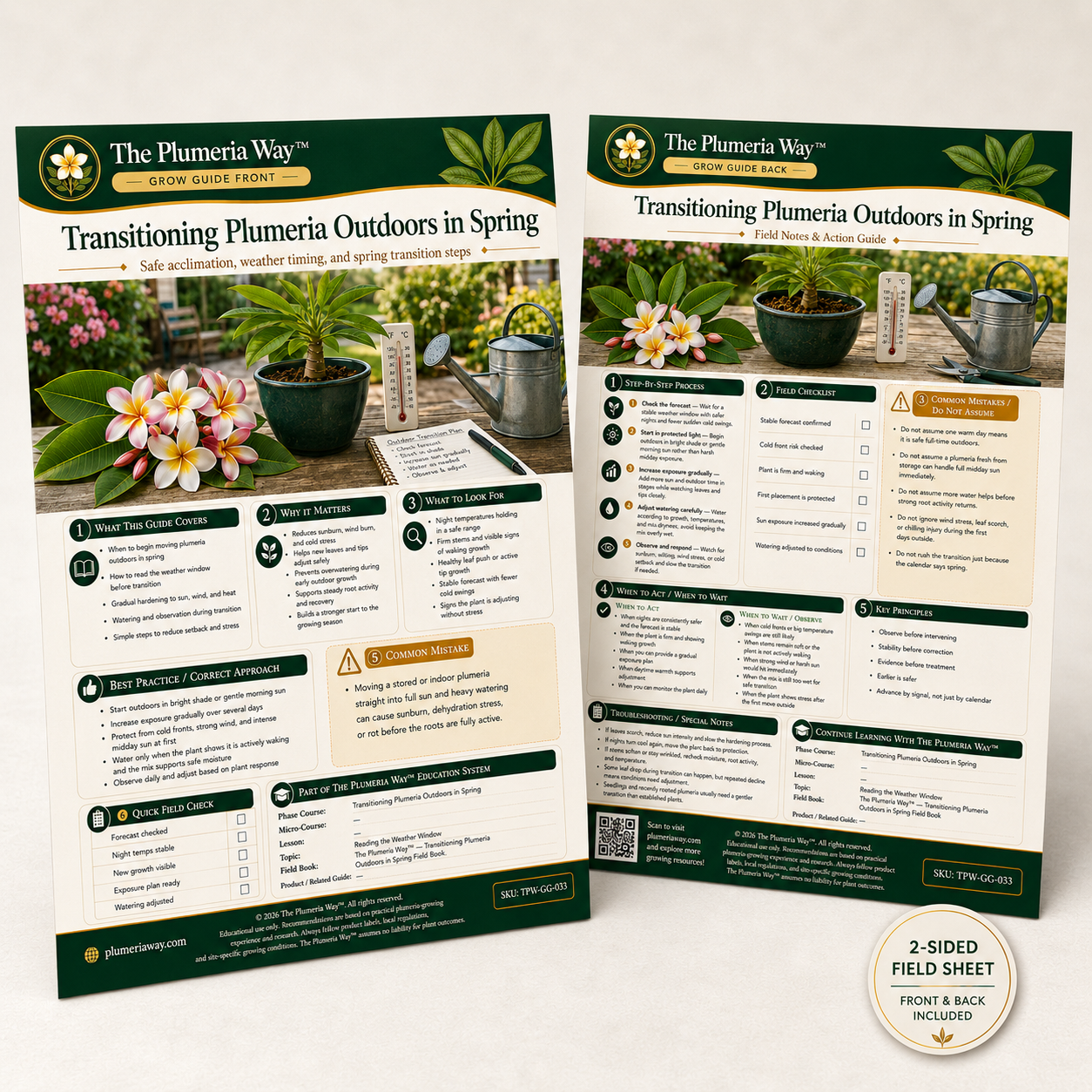 The Plumeria Way™ Grow Guide — Transitioning Plumeria Outdoors in Spring