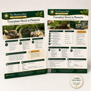 The Plumeria Way™ Grow Guide — Transplant Shock in Plumeria