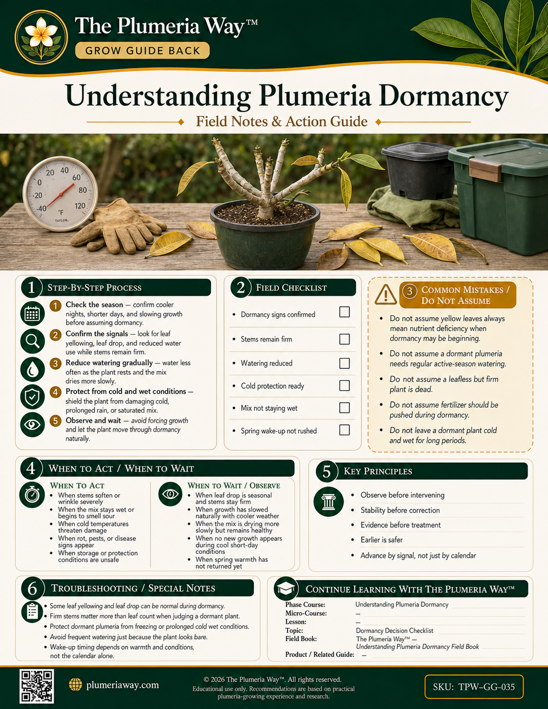 The Plumeria Way™ Grow Guide — Understanding Plumeria Dormancy - Image 2