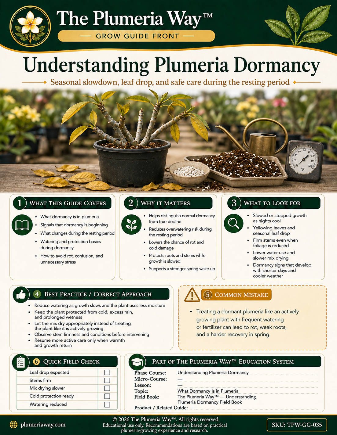 The Plumeria Way™ Grow Guide — Understanding Plumeria Dormancy - Image 3