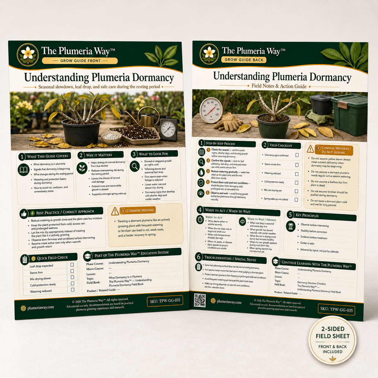 The Plumeria Way™ Grow Guide — Understanding Plumeria Dormancy