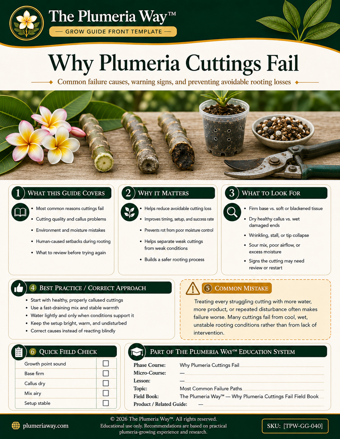 The Plumeria Way™ Grow Guide — Why Plumeria Cuttings Fail - Image 2