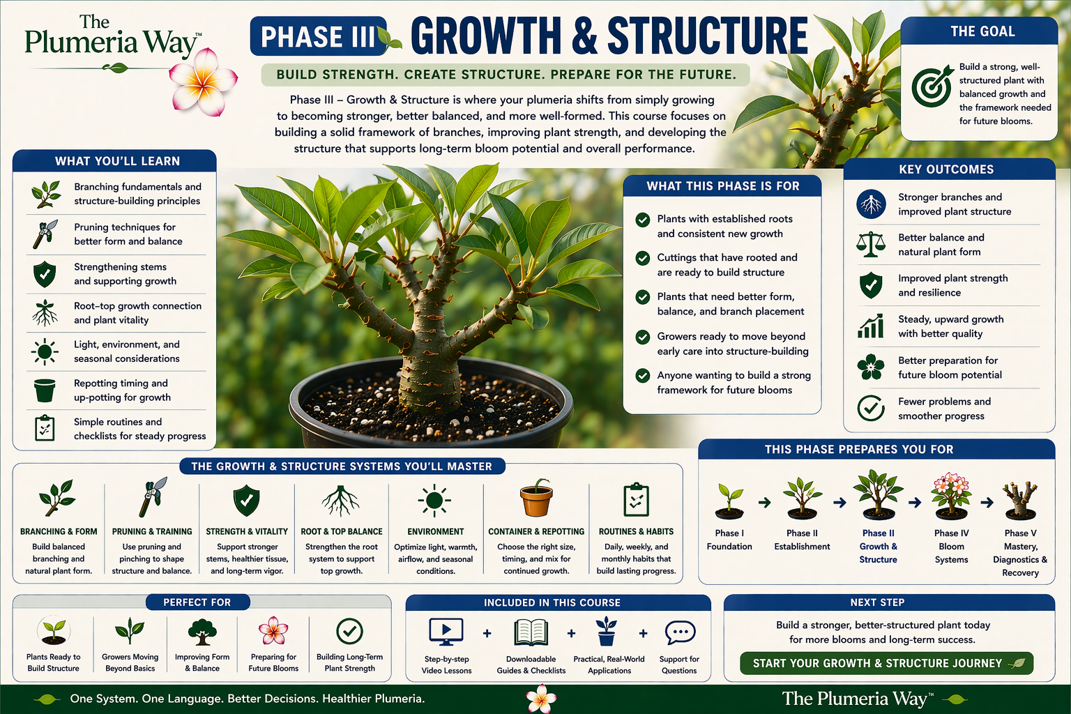 The Plumeria Way Phase III Growth and Structure course guide image showing branching, balanced form, stronger plant structure, and the core learning outcomes of the course