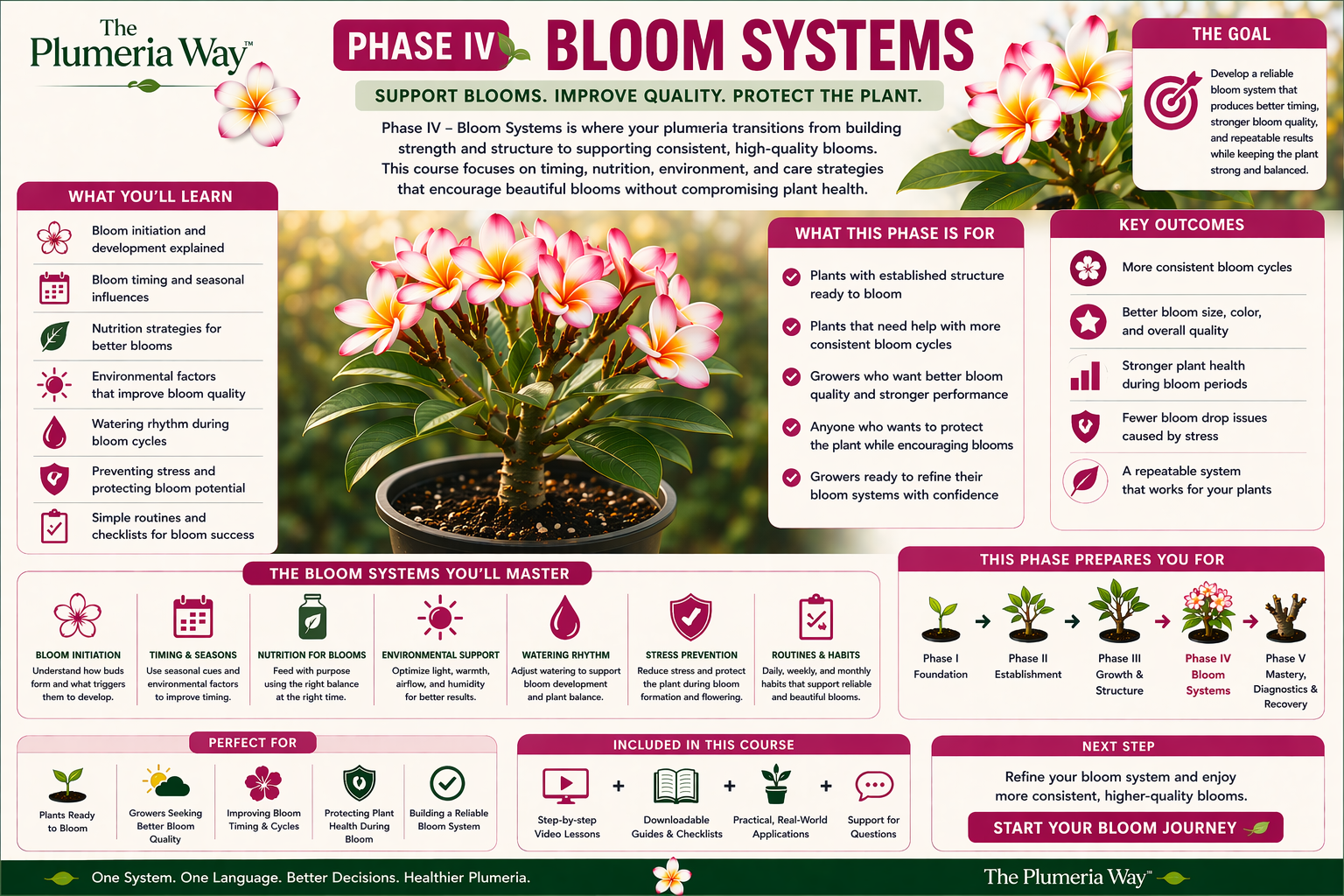 The Plumeria Way Phase IV Bloom Systems course guide image showing bloom timing, bloom quality, balanced support, and the core learning outcomes of the course