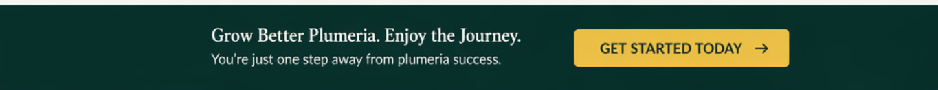Get started today