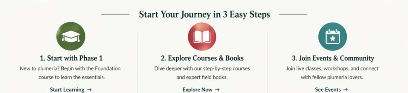 Start your journey in 3 easy steps