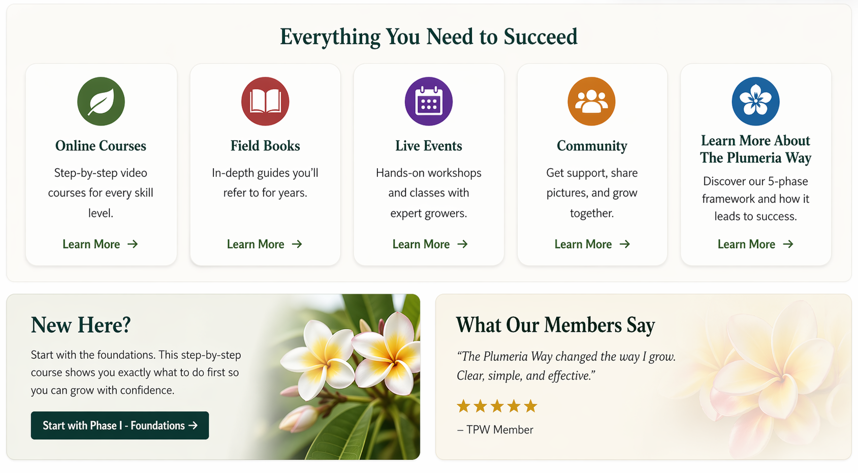 Everything you need to succeed
